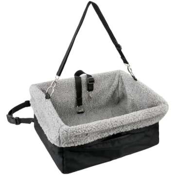 Travel, Exercise, Outings & Adventures