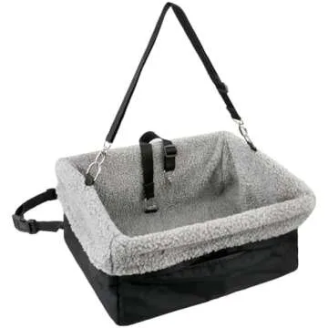 Travel, Exercise, Outings & Adventures