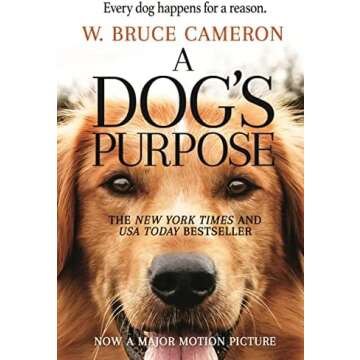 Middle Grade Books My Son Loves