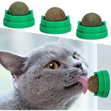 Cat & Dog toys & accessories