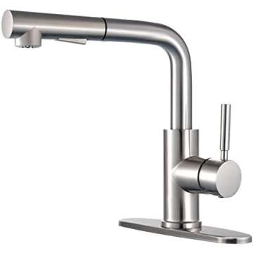 The Long Neck Kitchen Faucets