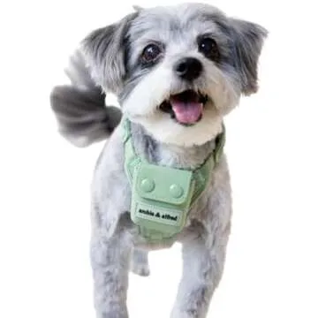 Anthony's Holiday Gift Guide