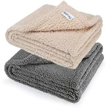 Home Comfort for Bullies