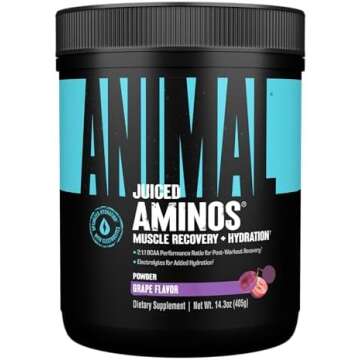 Mi Equipamiento Budget Friendly para Triatlones