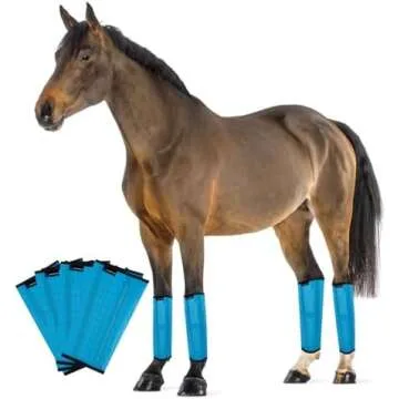 HORSE Care and First Aid Musts