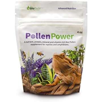 Bearded Dragon Shopping Guide