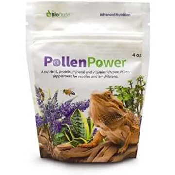 Bearded Dragon Shopping Guide