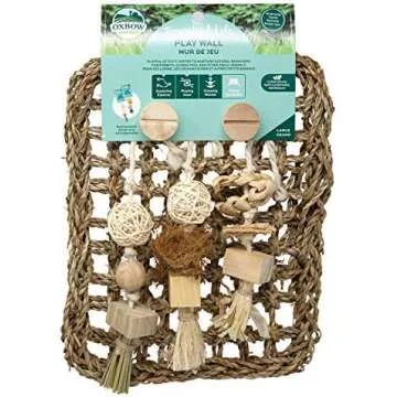 Rabbit Recommendations