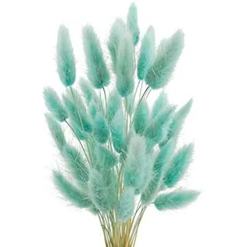 Plants, Pots, and Planters