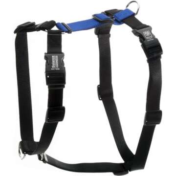 Harnesses