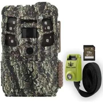 Bowhunting and Archery