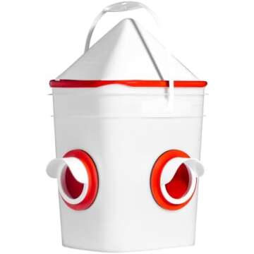 All things Chicken / Chook