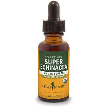 Back To School Essentials