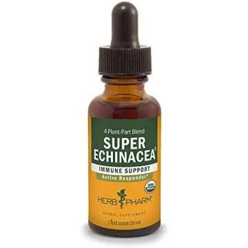 Back To School Essentials