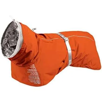 Cold Weather Dog Gear!