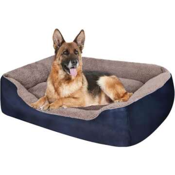 Beds for your GSD!