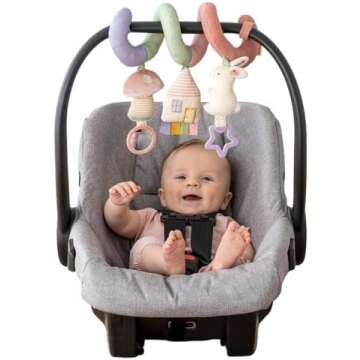 Newborn Car Necessities