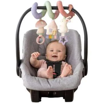 Newborn Car Necessities