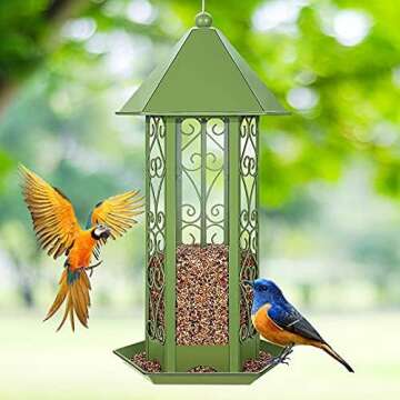 Bird Feeders