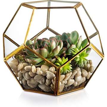 Terrariums and Terrarium Supplies