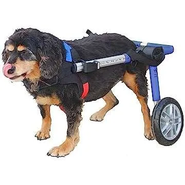 Best Dog Wheelchairs
