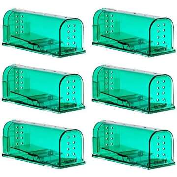 Rodent & Pest Control