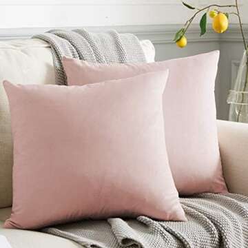 College apartment finds