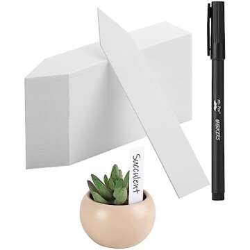 Seeds Starting Supplies