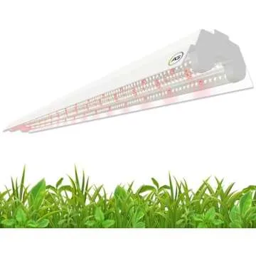 My favorite gardening stuff