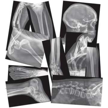 Science toys for kids