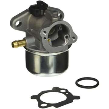 BRIGGS AND STRATTON CARBURETORS