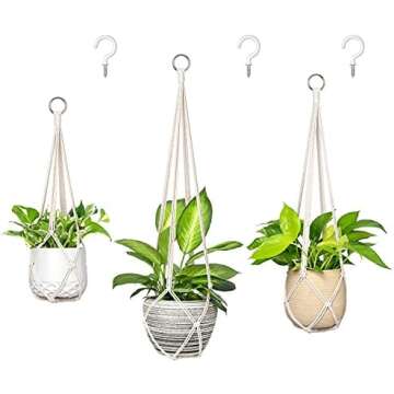 Gift Guide: Plant Lover 🪴