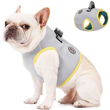 Dog Summer Essentials