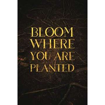 First Chapter Dot Grid Notebooks