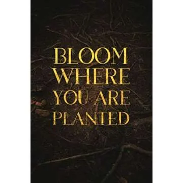 First Chapter Dot Grid Notebooks