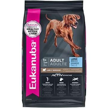 Best Dog Food For Doberman