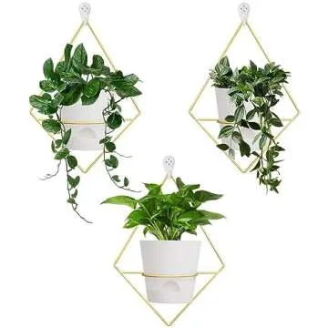Plant Home Decor