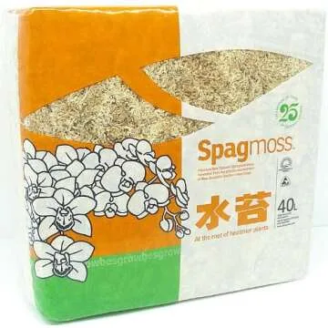 propagation must haves