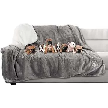 Cat Carriers And Furniture