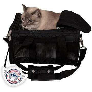 My Travel Must-Haves