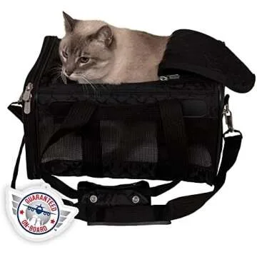 My Travel Must-Haves