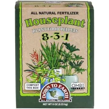 Eco-Friendly Houseplant Care
