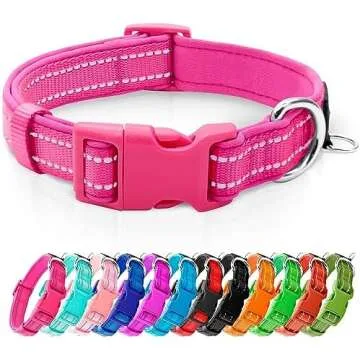 Collars, Harnesses, & Leashes