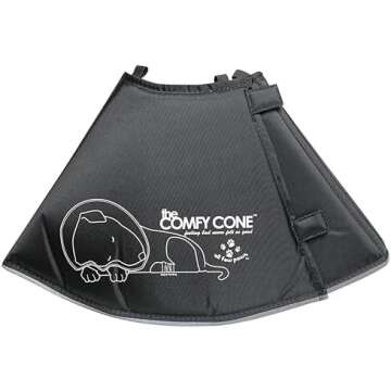 Dog Clothing & Accessories