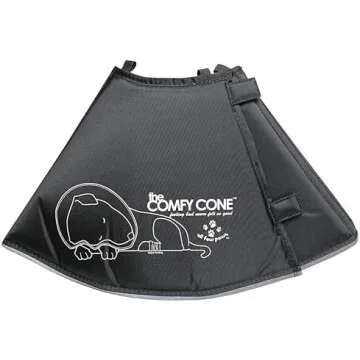 Dog Clothing & Accessories