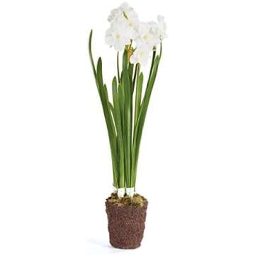 Home Decor + Accessories