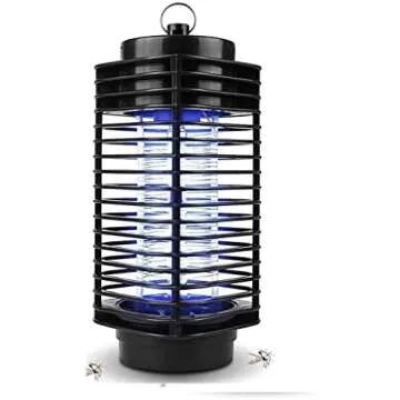 Learning About Butterflies