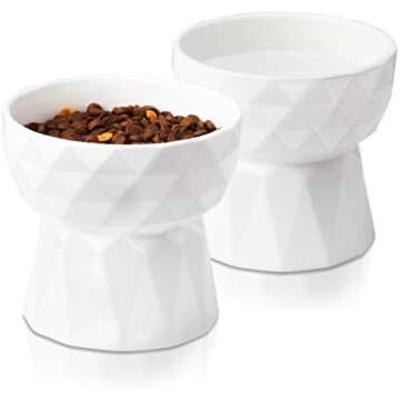 Homemade Dog Food Kitchen Must-Haves