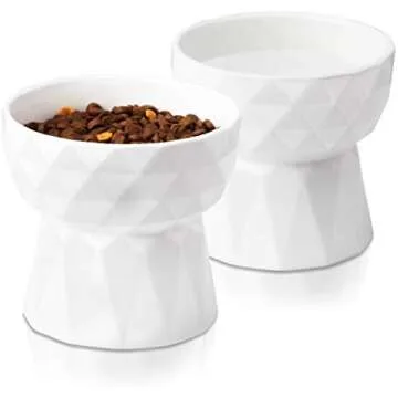 Homemade Dog Food Kitchen Must-Haves