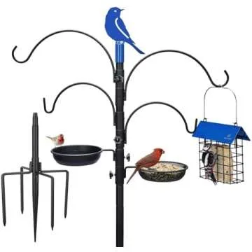 Favorite Backyard Bird Products